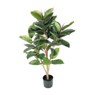 Konstväxt Fröken Fräken Fikus Robusta