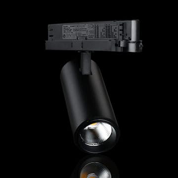 Spotlight Designlight Tracklight P Dali