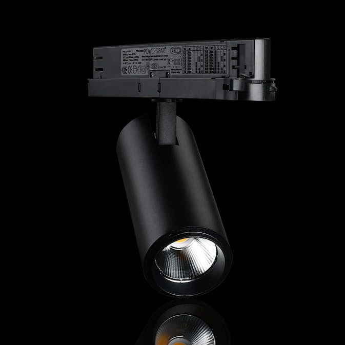 Spotlight Designlight Tracklight P Dali