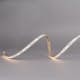 LED-Strip Hide-a-lite MidLum 10 m