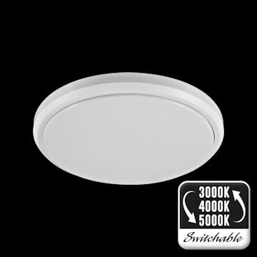Plafond Designlight Roundy TLE