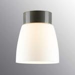 Vägg-/Taklampa Ifö Electric Open Klara Matt IP21