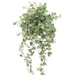 Konstväxt Fröken Fräken Murgröna Grön 78 cm