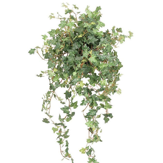 Konstväxt Fröken Fräken Murgröna Grön 78 cm