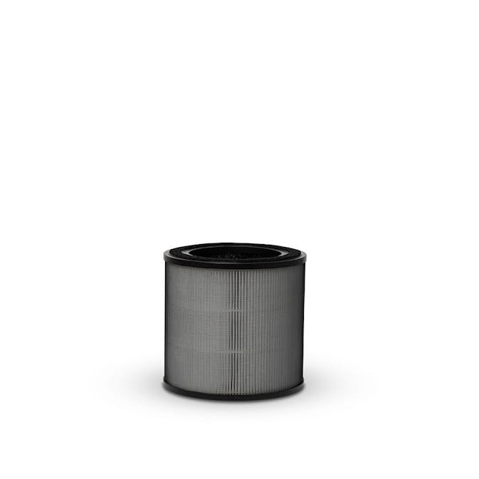 Partikelfilter Electrolux Ultrafine Particle Filter Pure 500