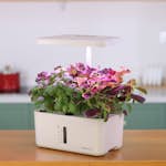 Odlingsset GreenLine Urban Growing 8-Pack