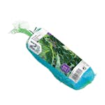 Bärnät Nelson Garden Net-Up