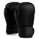 Boxhandske Master Fitness
