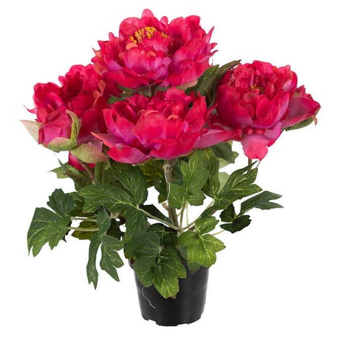 Konstväxt Fröken Fräken Pion 35 cm