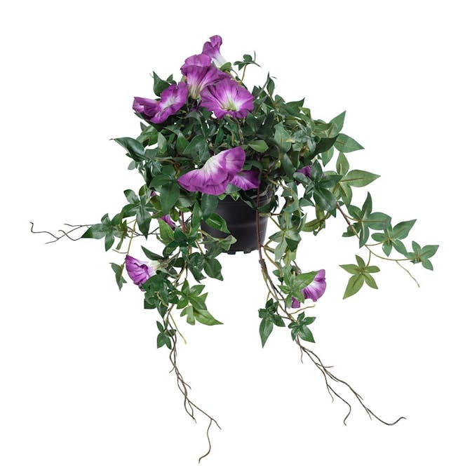 Konstväxt Fröken Fräken Blomma för Dagen 45 cm