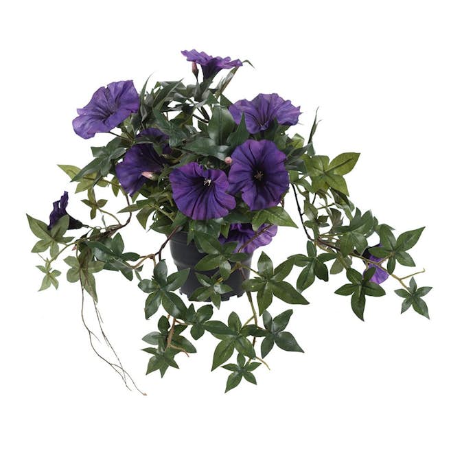 Konstväxt Fröken Fräken Blomma för Dagen 45 cm