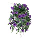 Konstväxt Fröken Fräken Blomma för Dagen