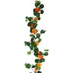 Konstväxt Fröken Fräken Krasse Orange Girlang