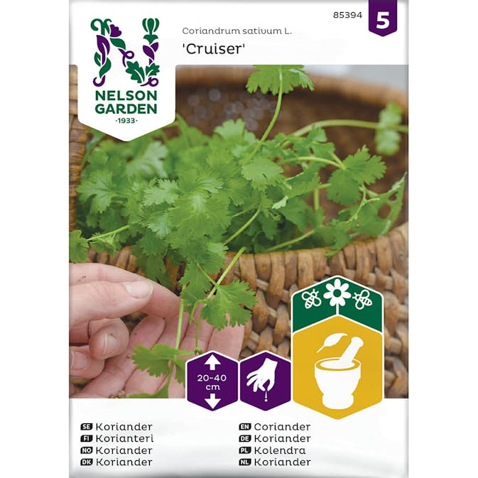 Frö Koriander Nelson Garden Cruiser