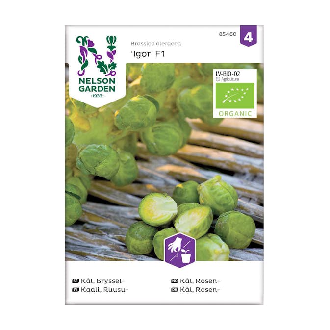 Frö Brysselkål Nelson Garden Igor F1 Organic