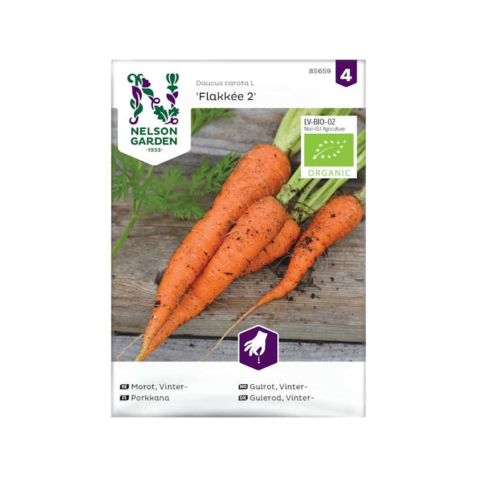 Frö Vintermorot Nelson Garden Flakkée 2