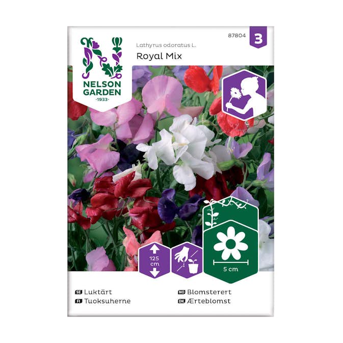 Frö Luktärt Nelson Garden Royal Mix