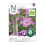 Frö Sommarmalva Nelson Garden Loveliness Organic