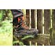 Känga STIHL Function Active