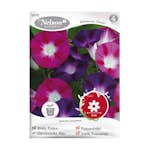 Frö Purpurvinda Nelson Garden Bohemian Shades