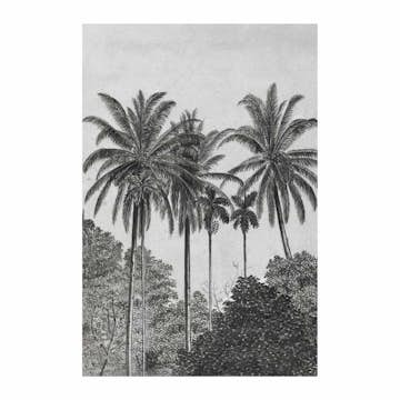 Fototapet Art For The Home Palm Lämnar 89434