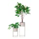 Kruka House Nordic Marla Set om 2