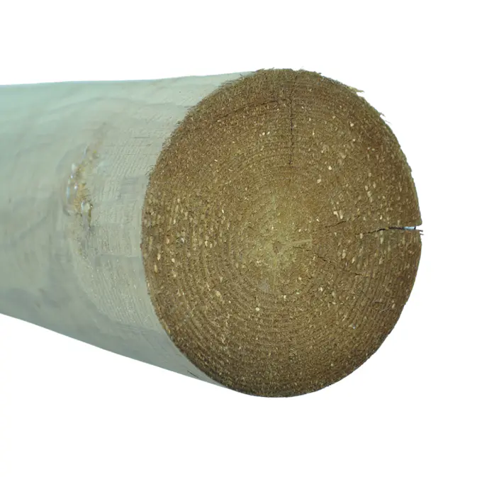 Stock Fyrås Trä Tryckimpregnerad utan Spets