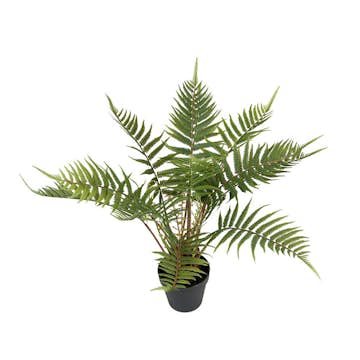 Konstväxt Fröken Fräken Ormbunke 50 cm Grön