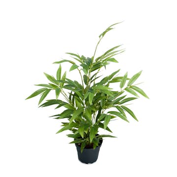 Konstväxt Fröken Fräken Bambu 45 cm Grön