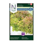 Frö Sallat Nelson Garden Bladbatavia Lollo Rossa