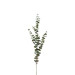 Konstväxt Fröken Fräken Eucalyptus 120 cm Grön Kvist
