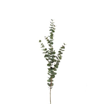 Konstväxt Fröken Fräken Eucalyptus 120 cm Grön Kvist