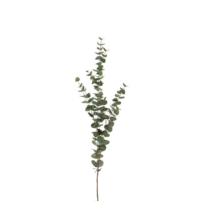 Konstväxt Fröken Fräken Eucalyptus 120 cm Grön Kvist