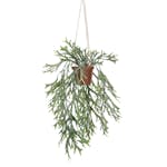 Konstväxt Fröken Fräken Älghornsbräken Grön Ampel