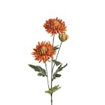 Konstväxt Fröken Fräken Chrysanthemum 60 cm