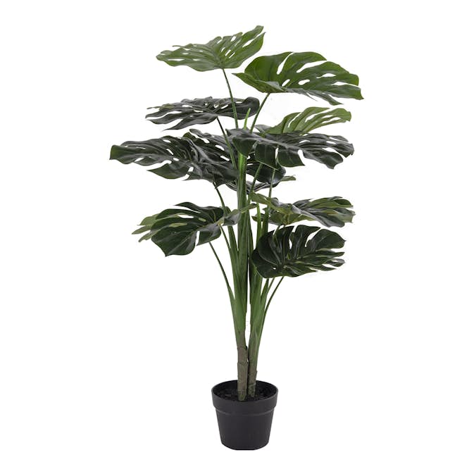 Konstväxt House Nordic Monstera