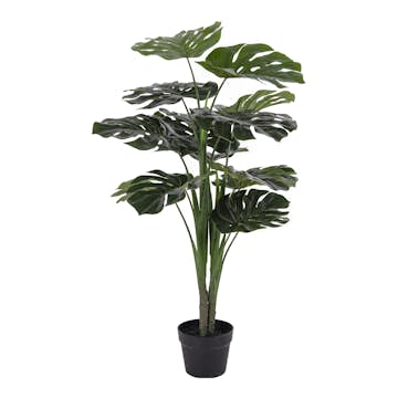 Konstväxt House Nordic Monstera