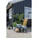 Konstväxt House Nordic Areca 175 cm