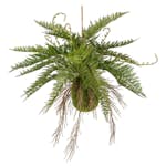 Konstväxt Fröken Fräken Ormbunke Grön Ampel