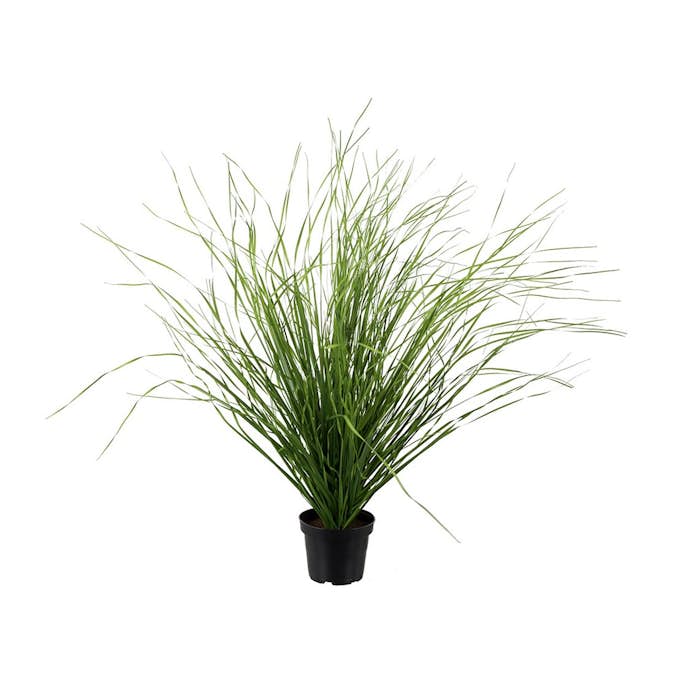 Konstväxt Fröken Fräken Gräs 60 cm Grön