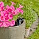 Smart Sensor Gardena