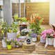 Semesterbevattning Gardena AquaBloom Set
