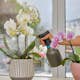 Pumpspruta Gardena 0,75L