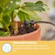 Droppspridare Gardena Micro-Drip 2 l/h Tryckregelrande