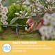 Droppspridare Gardena Micro-Drip 2 l/h Tryckregelrande
