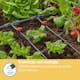Droppspridare Gardena Micro-Drip Inline 2 l/h Tryckreglerande
