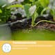 Droppspridare Gardena Micro-Drip Inline 2 l/h Tryckreglerande