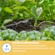 Droppspridare Gardena Micro-Drip Inline 2 l/h Tryckreglerande