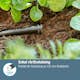 Plugg Gardena Micro-Drip 4,6 mm
