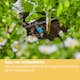 Droppspridare Gardena Micro-Drip Inline 2 l/h